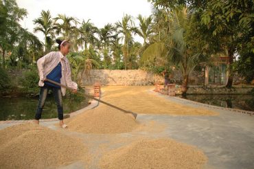 Yen Duc Village Vietnamese Local Life_9_2017_03