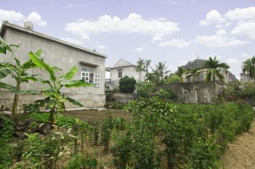 Yen_Duc_village_gallery_Homestay_garden